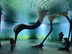 -盐城丹顶鹤湿地生态旅游区
