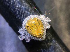 -志龙皇冠吃货椰子铺