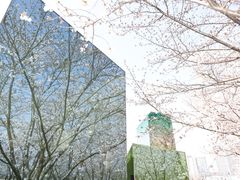 -龙美术馆(西岸馆)