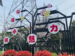 -高东镇樱花园