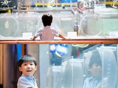 -合肥海洋世界