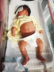 -梓爱月子中心(花都店)