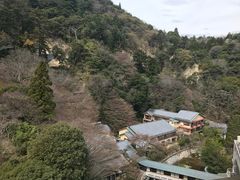 -月光园游月山庄
