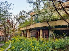 -天怡·鱼工厂(梅溪湖店)