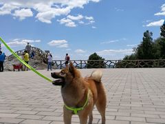 -鬼笑石后山停车场