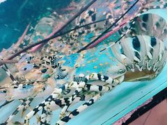 -班赞海鲜市场