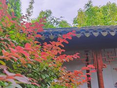 -秋霞圃