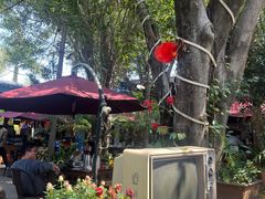 -园林美食城·本土农家菜(杨和镇店)