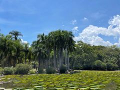 -中国科学院西双版纳热带植物园
