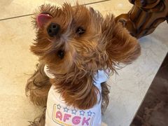 -萌宠主义宠物生活馆(金山路店)