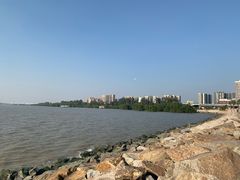 -宝安西湾红树林湿地公园