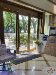 -碧莲盛·不剃发植发