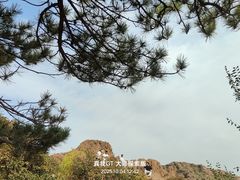 -红山国家森林公园