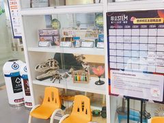 -斯坦星球AI编程·机器人科创·科学实验·信奥·思维·STEM·乐高·竞赛考级(长宁虹桥大融城荟聚中心)