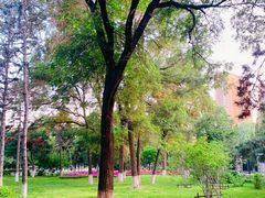 -东北大学(南湖校区)