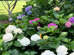 -常州古运河南大街文化旅游区-人民公园