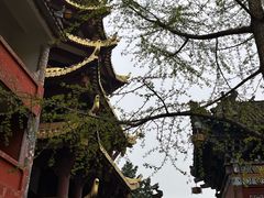 -磁器口古镇