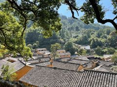 -杨家堂村