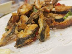 -寻味顺德·南记酒家·传统顺德菜·鱼生(广源路店)
