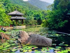 -海南槟榔谷黎苗文化旅游区