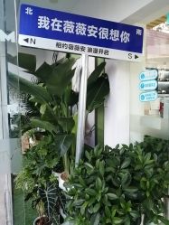 -薇薇安花系SPA