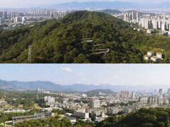 -福道