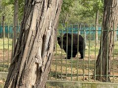 -秦皇岛野生动物园