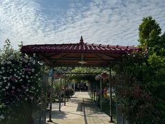 -小鱼草莓采摘园农家乐·小鱼餐厅