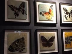 -半秋山西餐厅(巴南万达广场店)