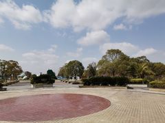 -上海都市菜园