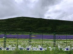 -叠溪松坪沟景区