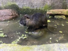 -青青世界
