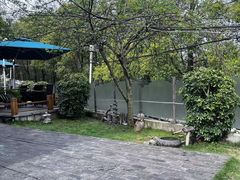 -树厨贵州菜(铜仁花果山店)