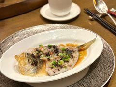 -广州富力君悦大酒店空中花园