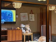 -大江户·温泉洗浴(浑南店)