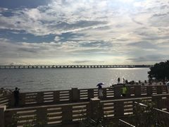 -宝安西湾红树林湿地公园