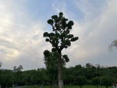 -艾溪湖湿地公园