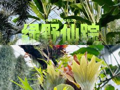 -国家植物园南园
