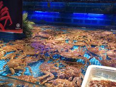 水产区-驻海渔市(置信店)