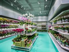 -盒马X会员店(上海森兰商都店)