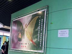 -上海昆虫博物馆