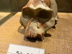 -水洞沟旅游区