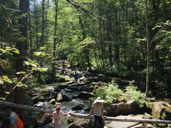 -汤旺河林海奇石景区