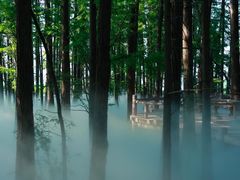 -东湖落雁景区