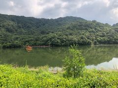 -大围山国家森林公园