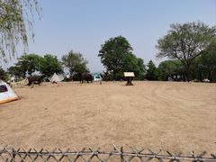 -北京西山国家森林公园