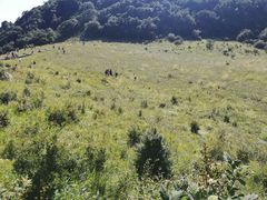 -白草畔自然风景区