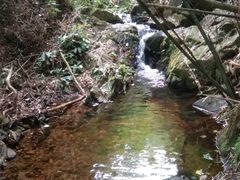 -羚羊峡古栈道森林公园