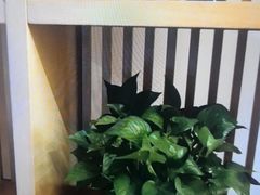 -尚荟汤泉生活馆
