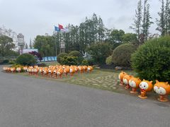 -上海长兴岛郊野公园